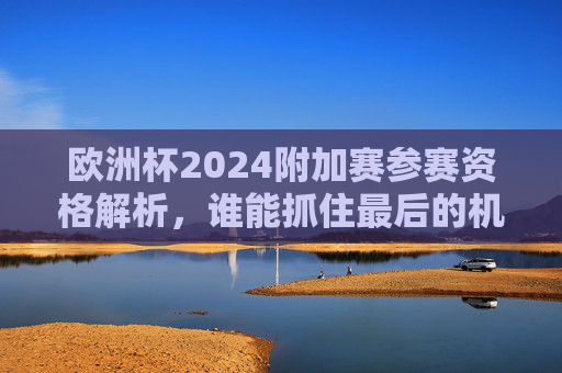 欧洲杯2024附加赛参赛资格解析,谁能抓住最后的机会?欧洲杯2024附加赛参赛资格解析,谁能抓住最后的机会?