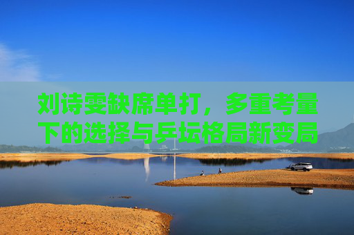 刘诗雯缺席单打,多重考量下的选择与乒坛格局新变局,刘诗雯缺席单打,多重考量与乒坛格局新变局