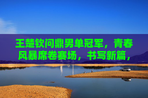 王楚钦问鼎男单冠军，青春风暴席卷赛场，书写新篇，王楚钦青春风暴席卷赛场，问鼎男单书写新篇