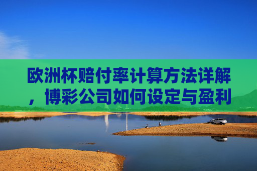 欧洲杯赔付率计算方法详解,博彩公司如何设定与盈利,欧洲杯赔付率计算方法与博彩公司设定盈利详解
