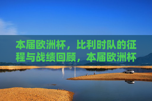 本届欧洲杯，比利时队的征程与战绩回顾，本届欧洲杯比利时队征程与战绩回顾