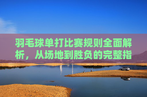 羽毛球单打比赛规则全面解析，从场地到胜负的完整指南，羽毛球单打比赛规则全面解析，从场地到胜负的完整指南