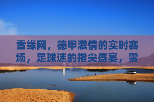 雪缘网,德甲激情的实时赛场,足球迷的指尖盛宴,雪缘网德甲实时赛场,足球迷的指尖盛宴