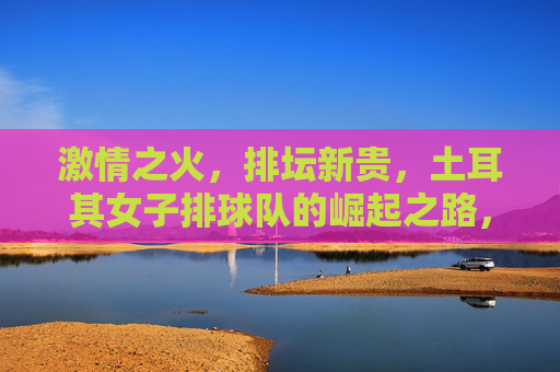 激情之火,排坛新贵,土耳其女子排球队的崛起之路,土耳其女排,燃情崛起的排坛新贵