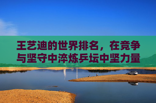 王艺迪的世界排名,在竞争与坚守中淬炼乒坛中坚力量