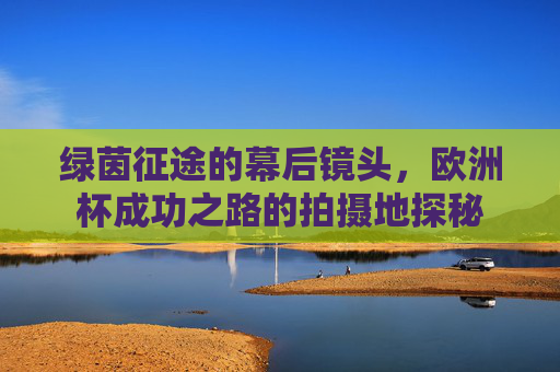 绿茵征途的幕后镜头,欧洲杯成功之路的拍摄地探秘