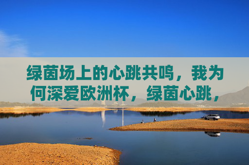 绿茵场上的心跳共鸣，我为何深爱欧洲杯，绿茵心跳，深爱欧洲杯