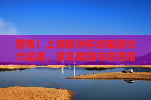 警惕!上海欧洲杯诈骗团伙大起底,常见套路与防范指南,上海欧洲杯诈骗团伙大起底,常见套路与防范指南