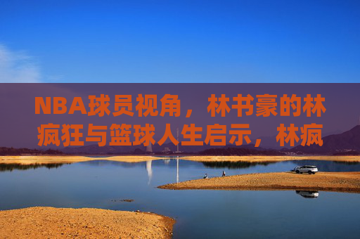 NBA球员视角,林书豪的林疯狂与篮球人生启示,林疯狂与人生赛场,林书豪的篮球启示