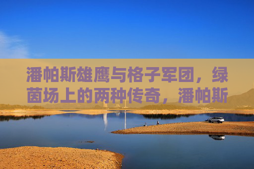 潘帕斯雄鹰与格子军团,绿茵场上的两种传奇,潘帕斯雄鹰与格子军团,绿茵双传奇