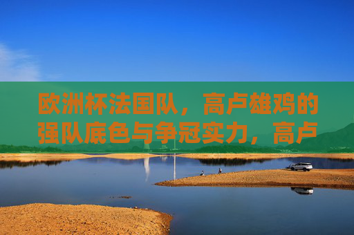 欧洲杯法国队,高卢雄鸡的强队底色与争冠实力,高卢雄鸡的强队底色与欧洲杯争冠实力