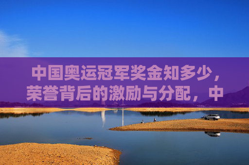 中国奥运冠军奖金知多少,荣誉背后的激励与分配,中国奥运冠军奖金的激励与分配