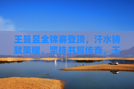 王曼昱全锦赛登顶，汗水铸就荣耀，坚持书写传奇，王曼昱全锦赛登顶，汗水铸就荣耀，坚持书写传奇
