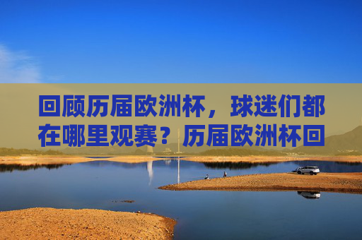 回顾历届欧洲杯,球迷们都在哪里观赛?历届欧洲杯回顾,球迷们的观赛地点