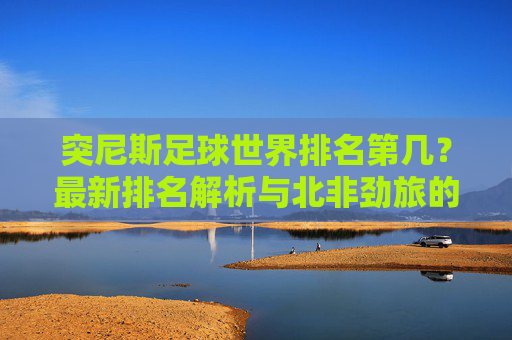 突尼斯足球世界排名第几?最新排名解析与北非劲旅的足球实力,突尼斯足球世界排名与北非劲旅实力解析