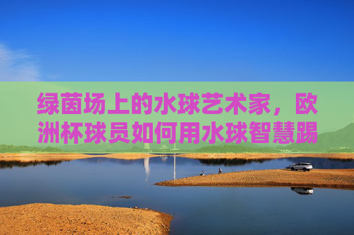 绿茵场上的水球艺术家,欧洲杯球员如何用水球智慧踢足球?绿茵水球艺术家,欧洲杯球员的足球智慧