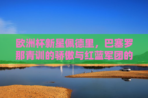 欧洲杯新星佩德里,巴塞罗那青训的骄傲与红蓝军团的未来核心,欧洲杯新星佩德里,巴塞罗那青训骄傲与红蓝未来核心