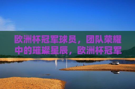 欧洲杯冠军球员，团队荣耀中的璀璨星辰，欧洲杯冠军球员，团队荣耀的璀璨星辰