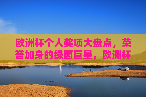 欧洲杯个人奖项大盘点,荣誉加身的绿茵巨星,欧洲杯个人奖项盘点,荣誉加身的绿茵巨星
