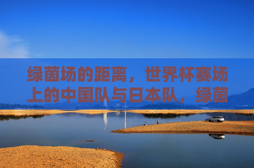 绿茵场的距离,世界杯赛场上的中国队与日本队,绿茵场的距离,世界杯赛场上的中日足坛差距