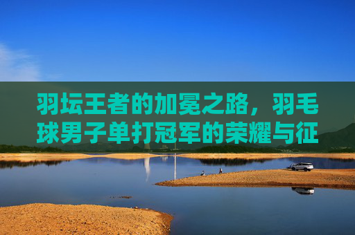 羽坛王者的加冕之路,羽毛球男子单打冠军的荣耀与征程