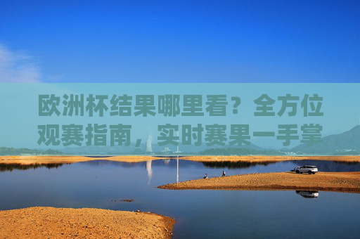 欧洲杯结果哪里看？全方位观赛指南，实时赛果一手掌握，欧洲杯结果观赛指南，实时赛果一手掌握
