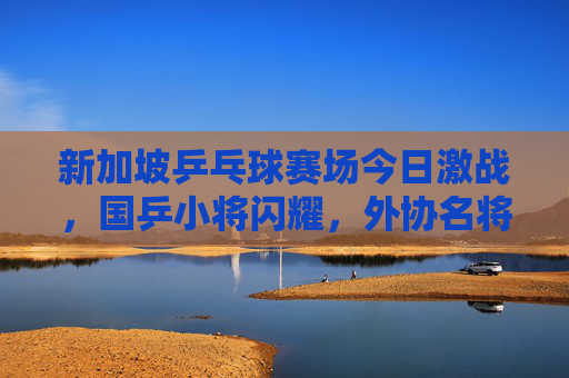 新加坡乒乓球赛场今日激战,国乒小将闪耀,外协名将爆冷引热议,新加坡乒赛激战,国乒小将闪耀,外协名将爆冷引热议