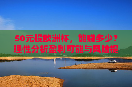 50元投欧洲杯，能赚多少？理性分析盈利可能与风险提示，50元投欧洲杯，盈利分析与风险提示