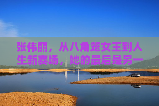 张伟丽,从八角笼女王到人生新赛场,她的最后是另一种开始,张伟丽,八角笼女王落幕,人生赛场新开始