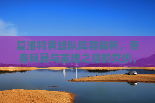 夏洛特黄蜂队阵容解析，青春风暴与重建之路的交织，夏洛特黄蜂阵容解析，青春风暴与重建之路的交织