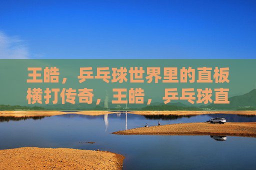 王皓,乒乓球世界里的直板横打传奇,王皓,乒乓球直板横打传奇