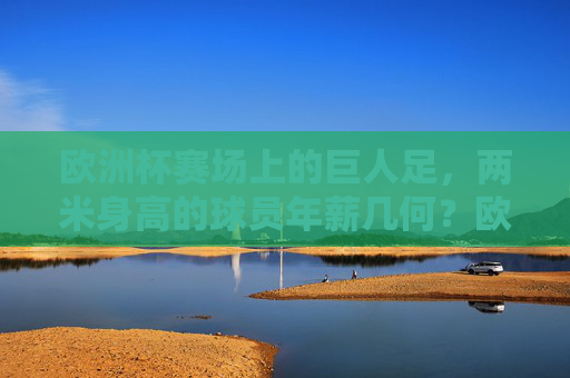 欧洲杯赛场上的巨人足,两米身高的球员年薪几何?欧洲杯两米巨人球员年薪几何?