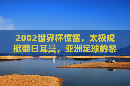 2002世界杯惊雷，太极虎掀翻日耳曼，亚洲足球的黎明之战，2002世界杯太极虎掀翻日耳曼，亚洲足球黎明之战