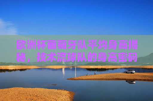 欧洲杯葡萄牙队平均身高揭秘,技术流球队的身高密码与战术平衡,欧洲杯葡萄牙队,技术流球队的身高密码与战术平衡