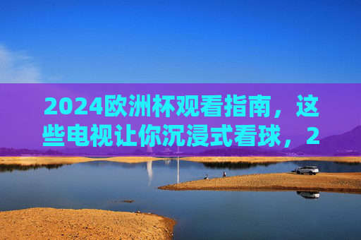 2024欧洲杯观看指南，这些电视让你沉浸式看球，2024欧洲杯沉浸式看球电视指南