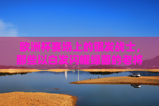 欧洲杯赛场上的银发战士,那些以白发闪耀绿茵的老将,欧洲杯银发战士,白发闪耀绿茵的老将