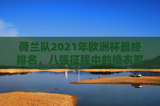 荷兰队2021年欧洲杯最终排名,八强征程中的橙衣军团风采,橙衣军团风采,荷兰队2021年欧洲杯八强征程