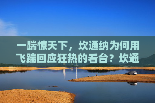 一踹惊天下,坎通纳为何用飞踹回应狂热的看台?坎通纳飞踹狂热看台,一踹惊天下