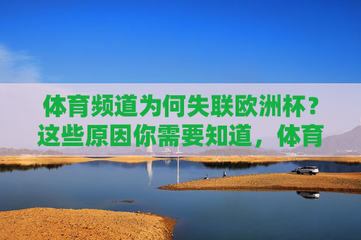 体育频道为何失联欧洲杯?这些原因你需要知道,体育频道失联欧洲杯的原因