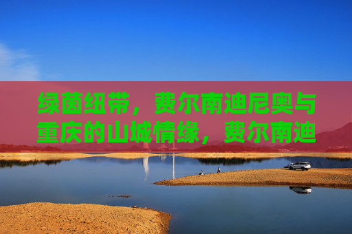 绿茵纽带,费尔南迪尼奥与重庆的山城情缘,费尔南迪尼奥,绿茵纽带里的山城情缘
