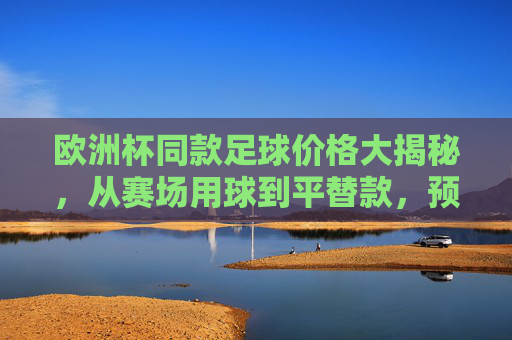 欧洲杯同款足球价格大揭秘，从赛场用球到平替款，预算多少能入手？欧洲杯同款足球价格大揭秘，从赛场用球到平替款，预算多少能入手？