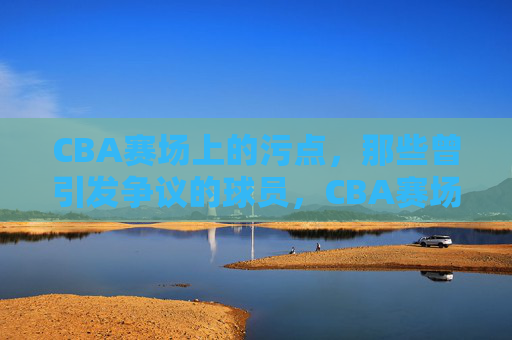 CBA赛场上的污点,那些曾引发争议的球员,CBA赛场污点,引发争议的球员