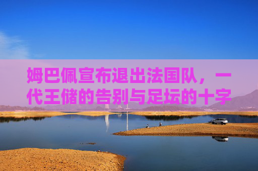 姆巴佩宣布退出法国队,一代王储的告别与足坛的十字路口,姆巴佩退出法国队,一代王储的告别与足坛十字路口