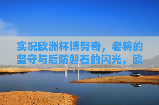 实况欧洲杯博努奇,老将的坚守与后防磐石的闪光,欧洲杯博努奇,老将坚守,后防磐石闪光