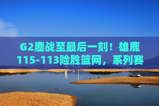 G2鏖战至最后一刻!雄鹿115-113险胜篮网,系列赛2-0占先机