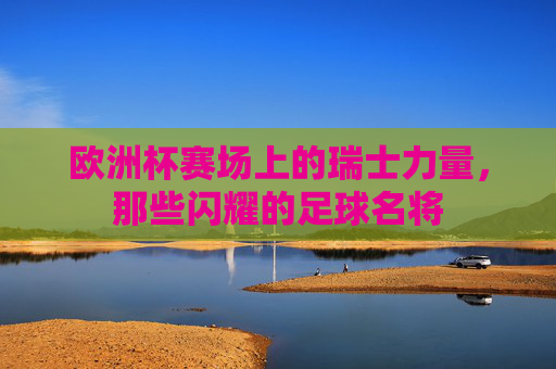 欧洲杯赛场上的瑞士力量,那些闪耀的足球名将