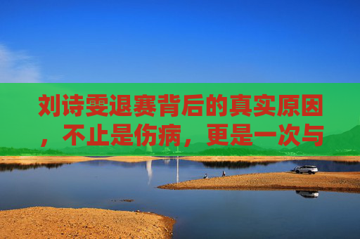 刘诗雯退赛背后的真实原因,不止是伤病,更是一次与自我的和解,刘诗雯退赛真实原因,不止伤病,更是与自我的和解
