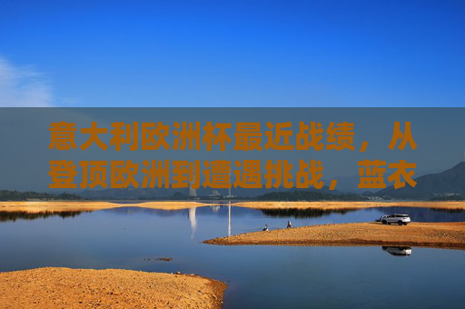 意大利欧洲杯最近战绩，从登顶欧洲到遭遇挑战，蓝衣军团的起伏之路，蓝衣军团欧洲杯起伏之路，从登顶欧洲到遭遇挑战