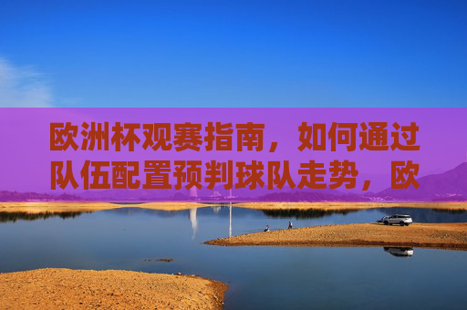 欧洲杯观赛指南,如何通过队伍配置预判球队走势,欧洲杯观赛指南,从队伍配置预判球队走势