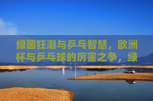 绿茵狂潮与乒乓智慧，欧洲杯与乒乓球的厉害之争，绿茵狂潮与乒乓智慧，欧洲杯与乒乓球的巅峰对决